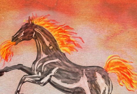 Losar Family Celebration: Year of the Fire Horse