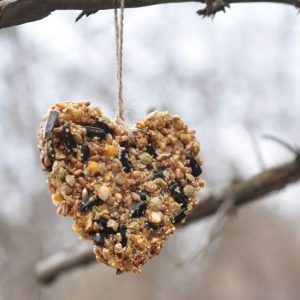 For the Love of Birds