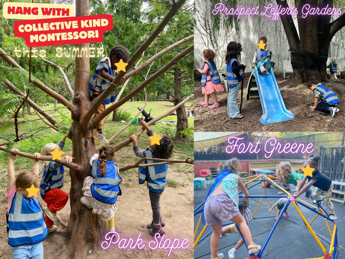 Collective Kind Montessori