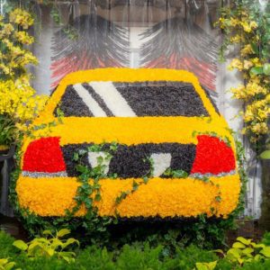 The Orchid Show: Mr. Flower Fantastic’s Concrete Jungle