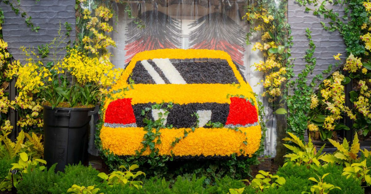 The Orchid Show: Mr. Flower Fantastic’s Concrete Jungle