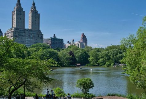 Watson Adventures’ Secrets of Central Park Family Scavenger Hunt