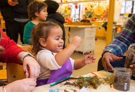 Family Art Project: Mini Greenhouses