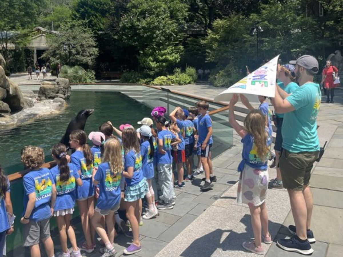 Central Park Zoo Summer Camp