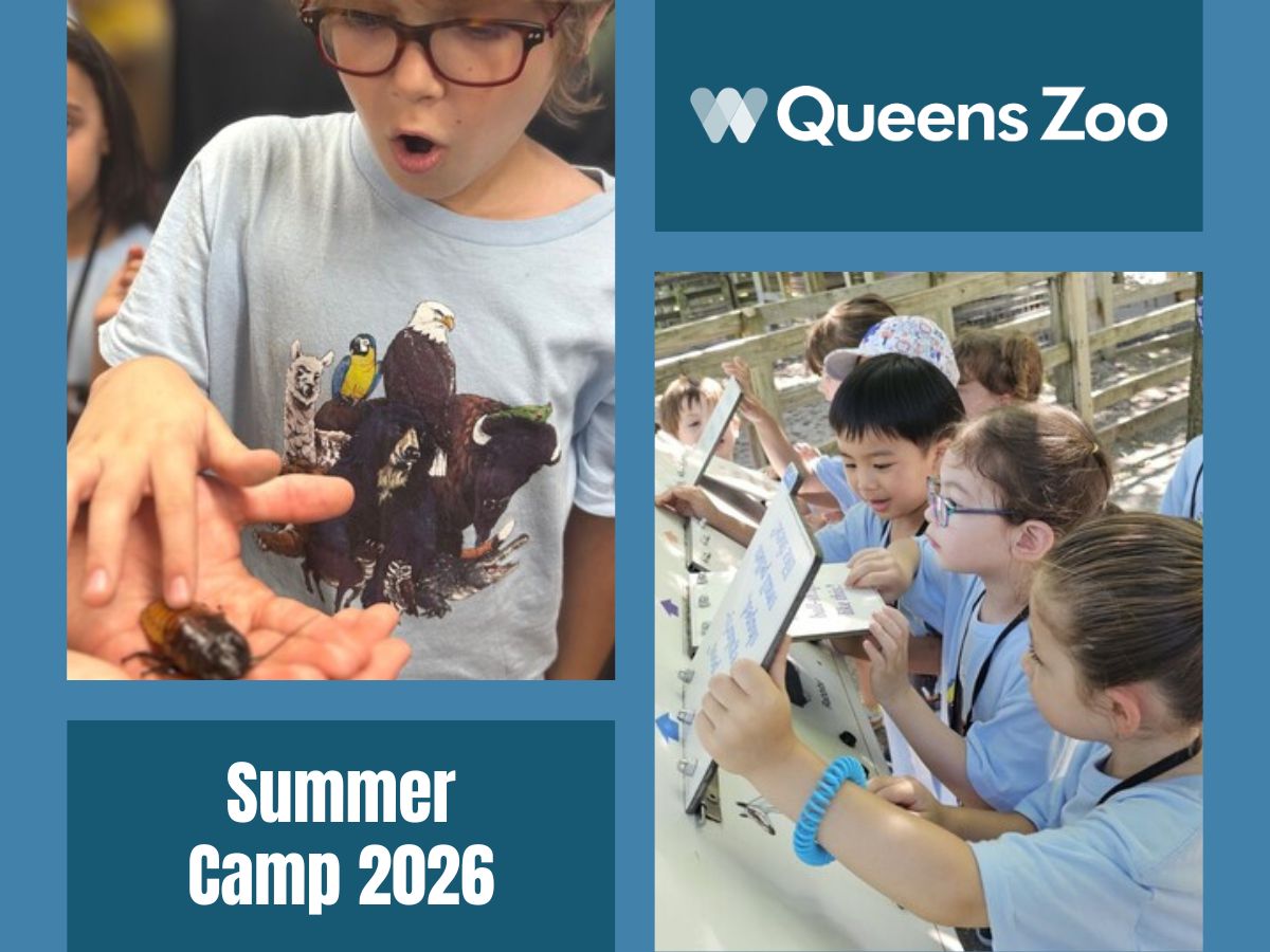 Queens Zoo Summer Camp