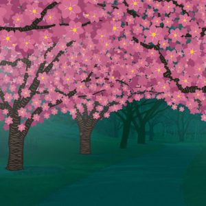 Hanami Nights at Brooklyn Botanic Garden