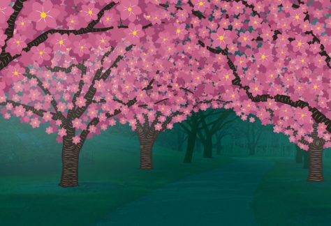 Hanami Nights at Brooklyn Botanic Garden