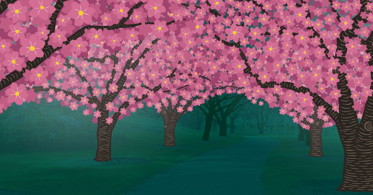 Hanami Nights at Brooklyn Botanic Garden