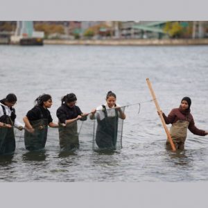 Seining Kickoff Party