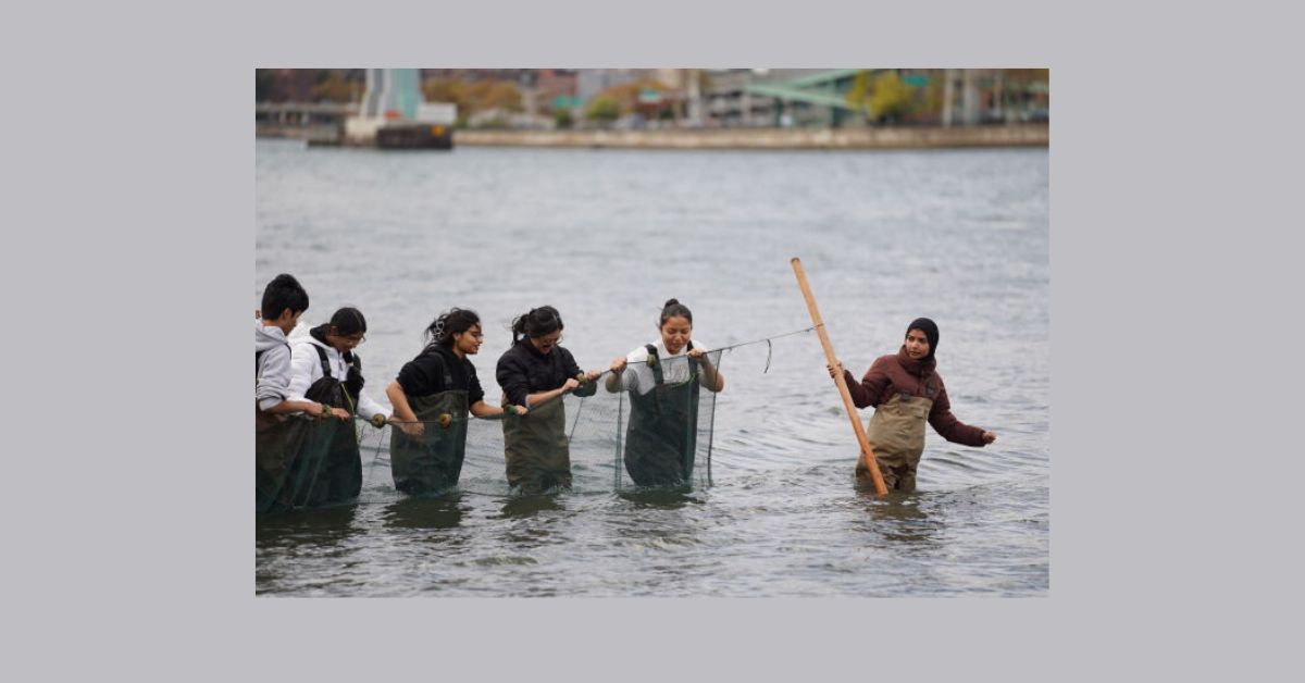 Seining Kickoff Party