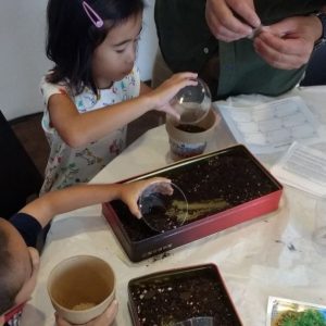 MOCACREATE: Embrace Earth Day with Teaching Artist Yu Rong