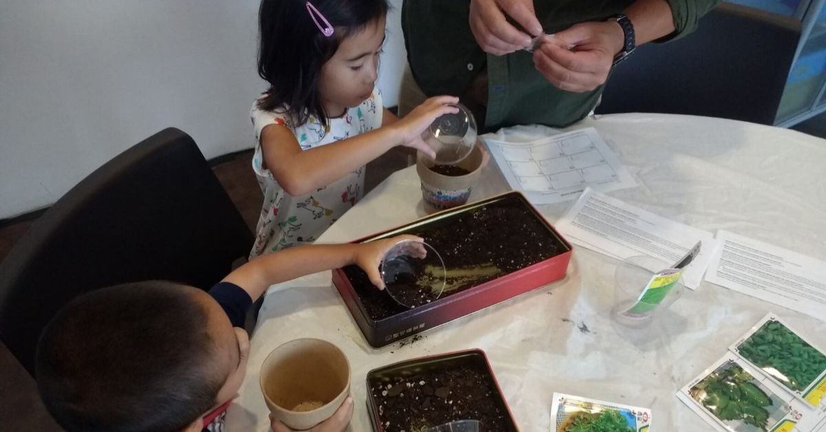 MOCACREATE: Embrace Earth Day with Teaching Artist Yu Rong