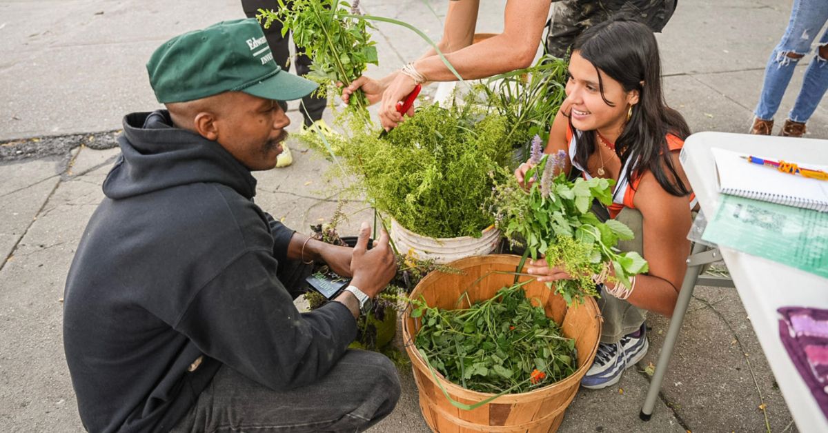 Forces of Nature: Create, Move, and Renew