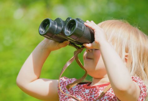 Mother's Day Birding at Forest Park