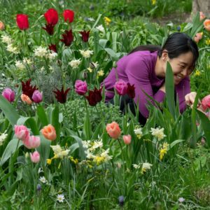 Garden Festival: Wild Imaginations