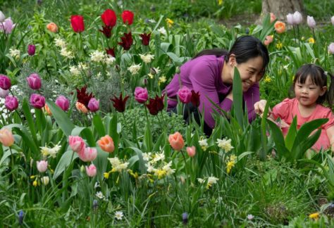 Garden Festival: Wild Imaginations