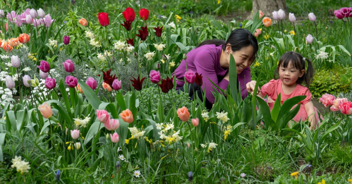 Garden Festival: Wild Imaginations