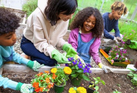 Canarsie Library Kid's Gardening Club: Flowers & Herbs
