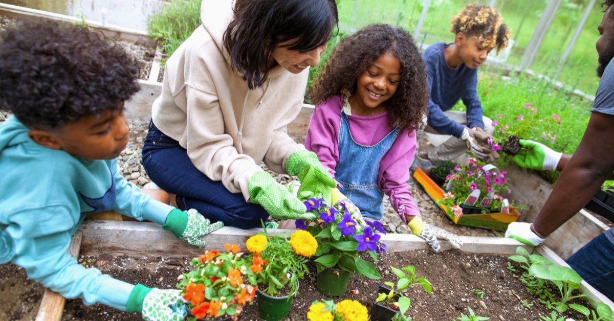 Canarsie Library Kid's Gardening Club: Flowers & Herbs