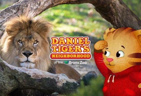 Daniel Tiger's Neighborhood at the Bronx Zoo