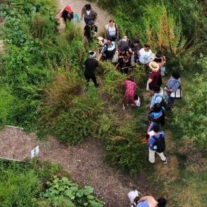 Foragers in the Foodway
