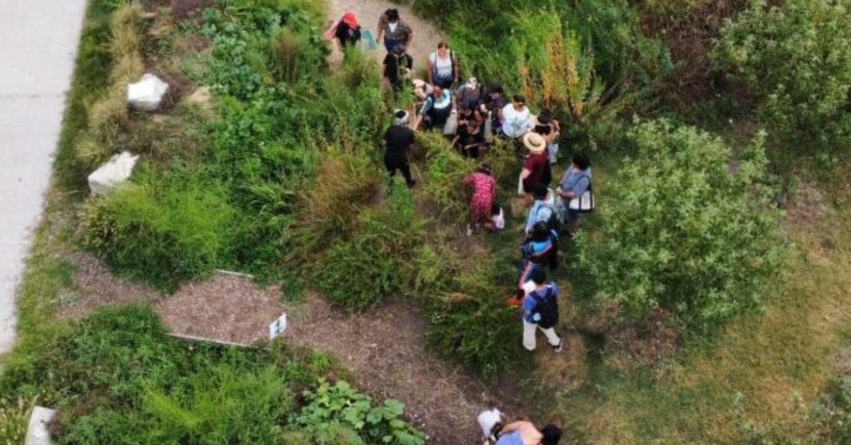 Foragers in the Foodway