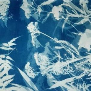 Cyanotype Workshop with Nadia