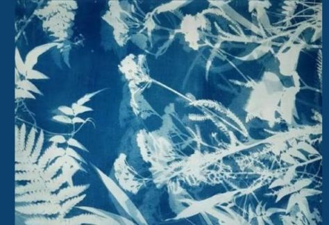 Cyanotype Workshop with Nadia