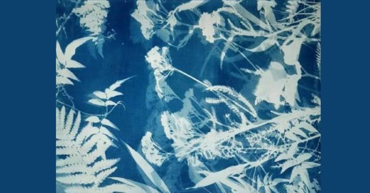 Cyanotype Workshop with Nadia