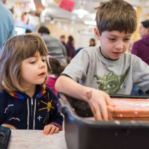Family Art Project: Brilliance of Seeds and Weeds