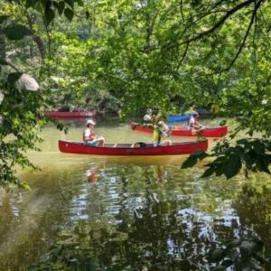 Community Paddle at Starlight Park