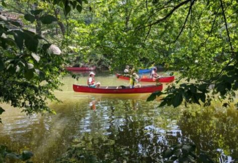 Community Paddle at Starlight Park