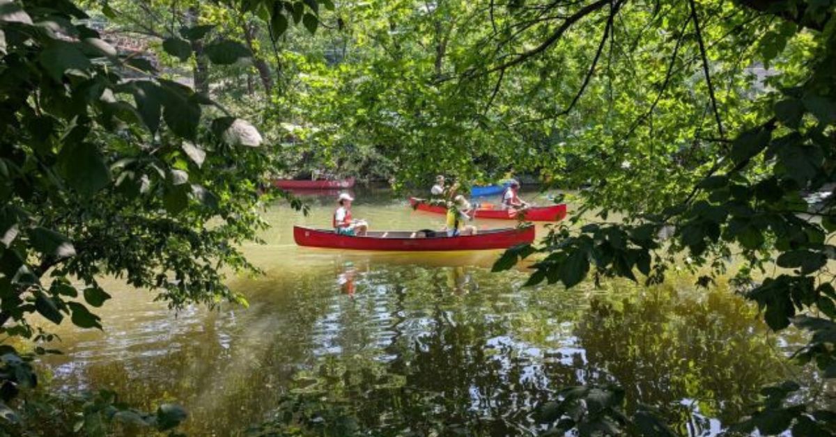 Community Paddle at Starlight Park