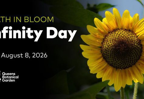 Infinite Sums Presents: Infinity Day