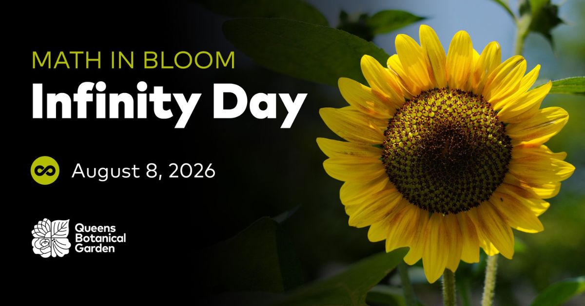 Infinite Sums Presents: Infinity Day