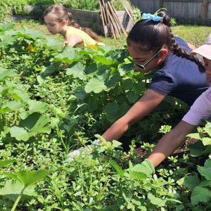Grow & Gather: Family Gardening Program