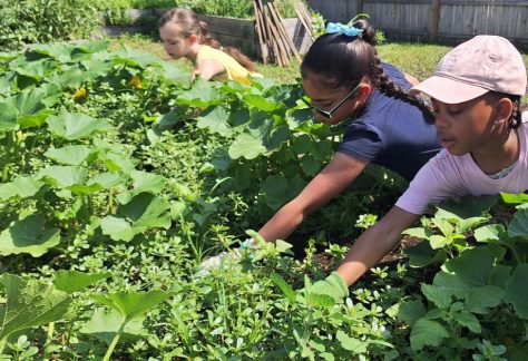 Grow & Gather: Family Gardening Program