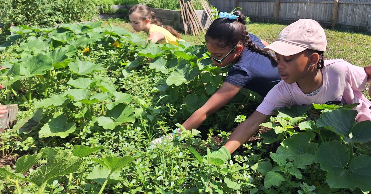 Grow & Gather: Family Gardening Program