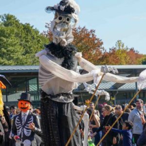Día de los Muertos Parade at NYBG