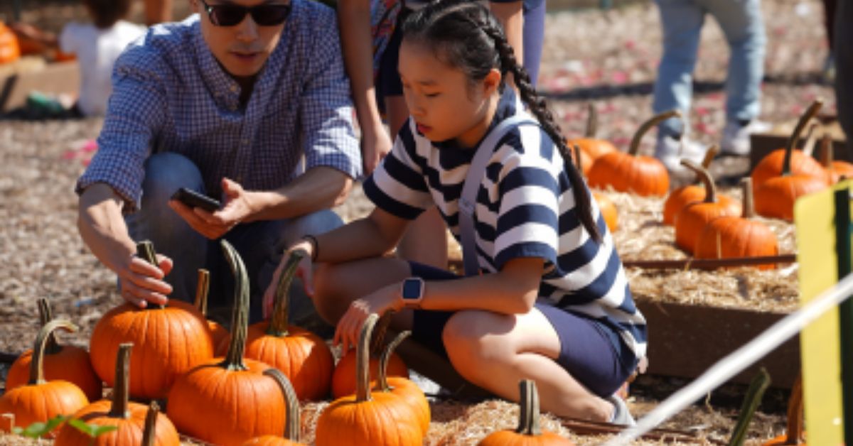 Randall’s Island Harvest Festival