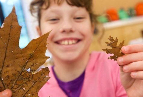 Family Art Project: Leafy Mobiles