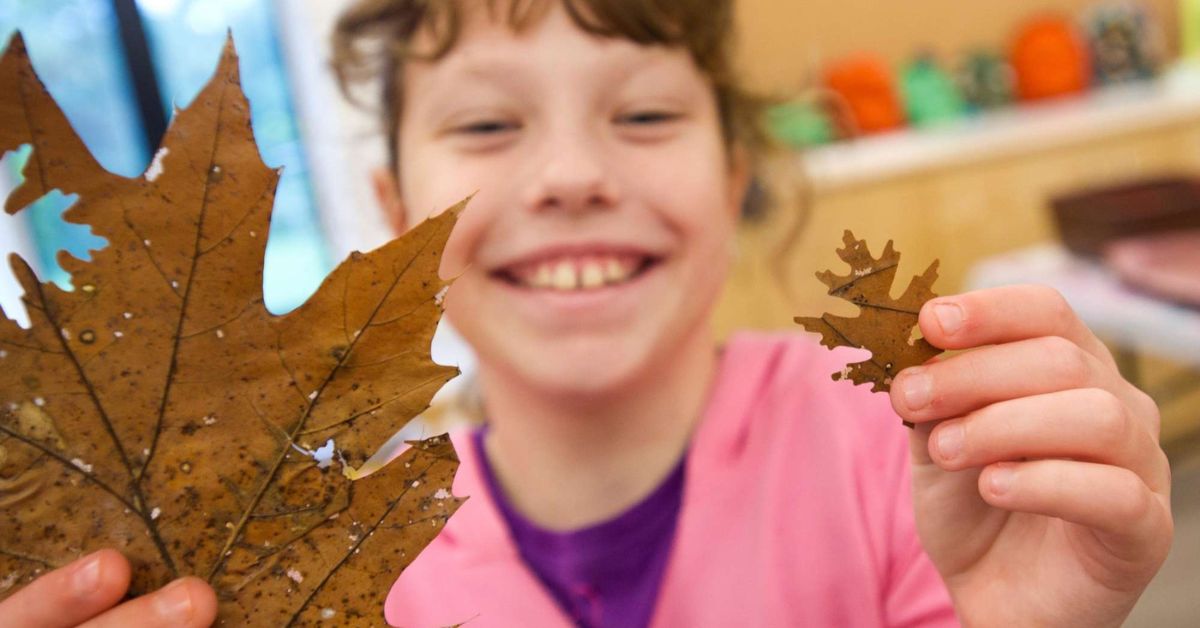 Family Art Project: Leafy Mobiles