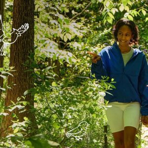 Wonder in the Woods