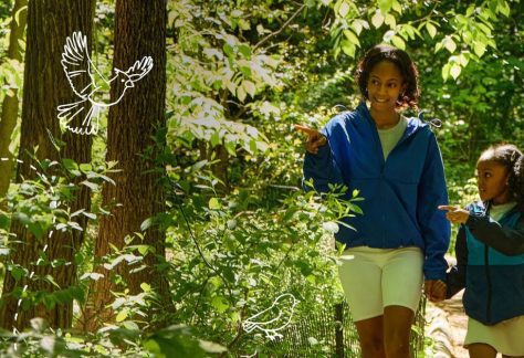 Wonder in the Woods
