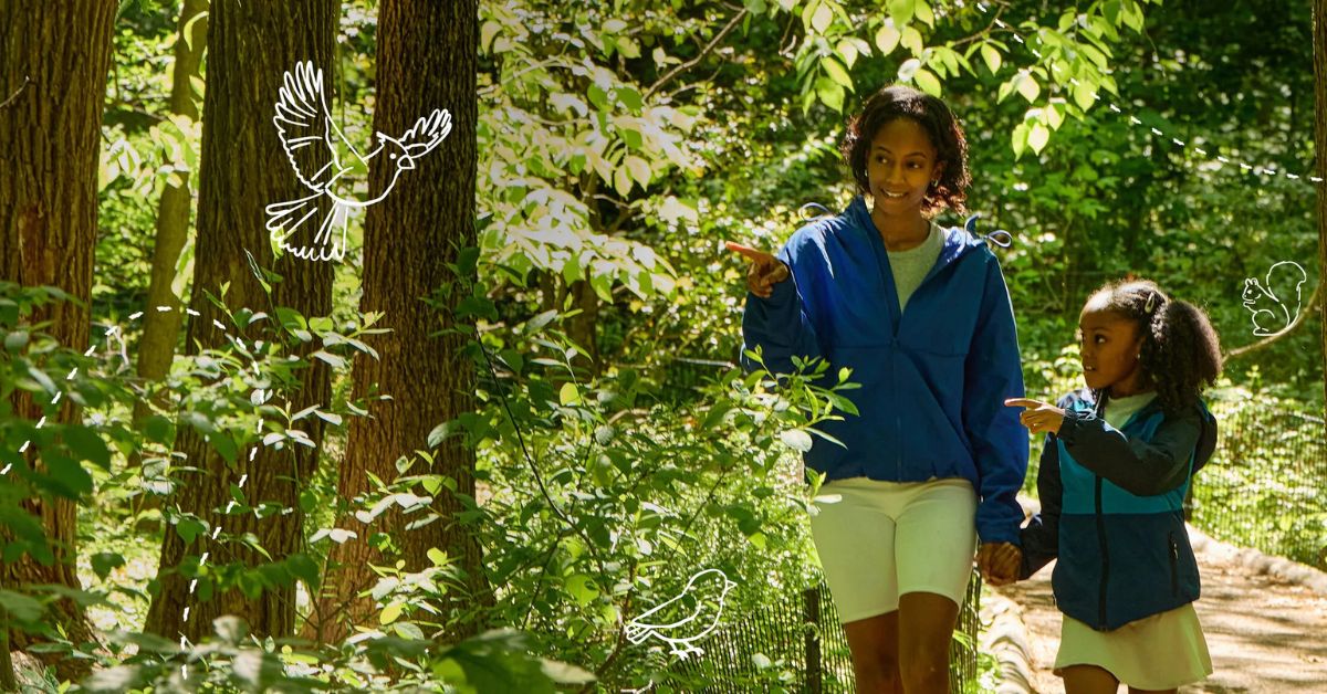 Wonder in the Woods