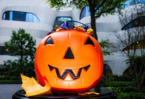 Halloween at AMNH