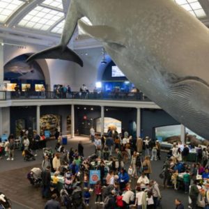 ClimateFest at AMNH