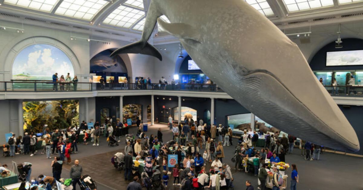 ClimateFest at AMNH