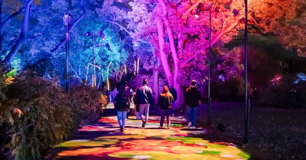 Lightscape at Brooklyn Botanic Garden returns this holiday season with a spectacular new trail. This year’s Lightscape is a love letter—to the Garden,