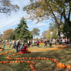 Gov­er­nors Island's Pumpkin Point